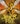 The Hive Queen by Tui T. Sutherland (Wings Of Fire #12)