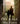 Courage, My Love by Kristin Beck