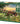 Field At Sunrise 1000 Piece Puzzle by Cobble Hill