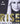 Rise - My Story by Lindsey Vonn (Bargain Book price)